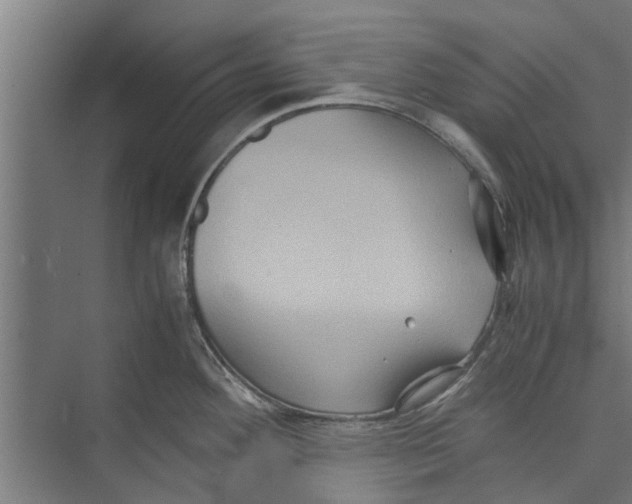 X0000071901292200608041333