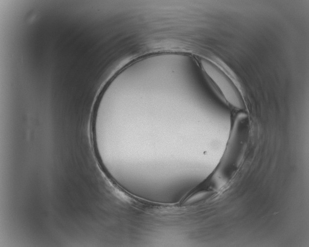 X0000071901293200608041333