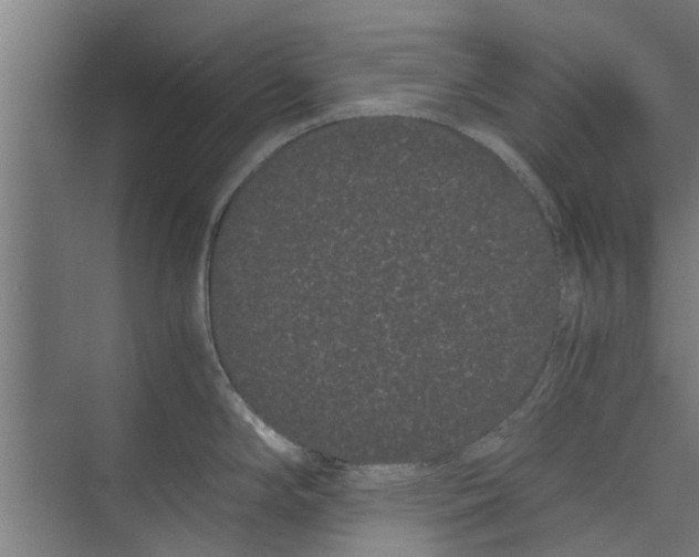 X0000071901294200608041333