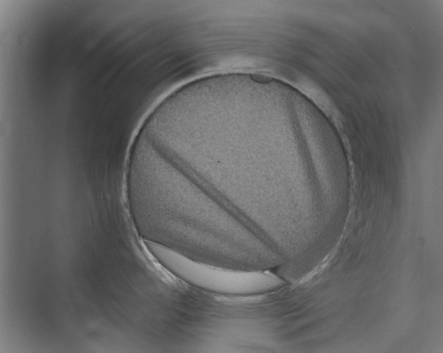 X0000071901296200608041333