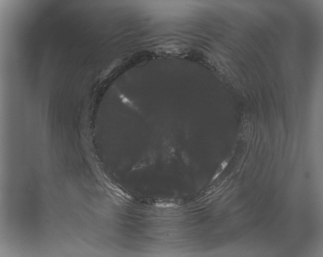 X0000071901297200608041332