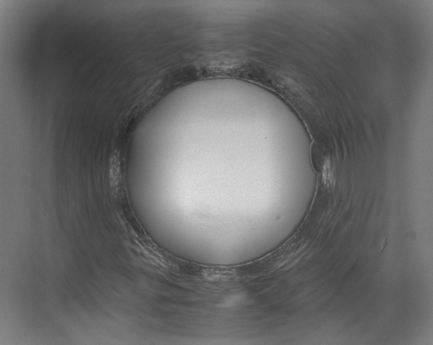 X0000071901299200608041332