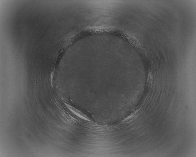 X0000071901300200608041332