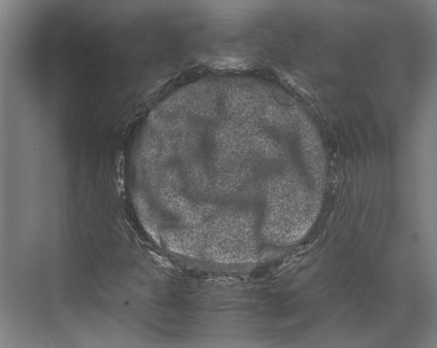 X0000071901301200608041332