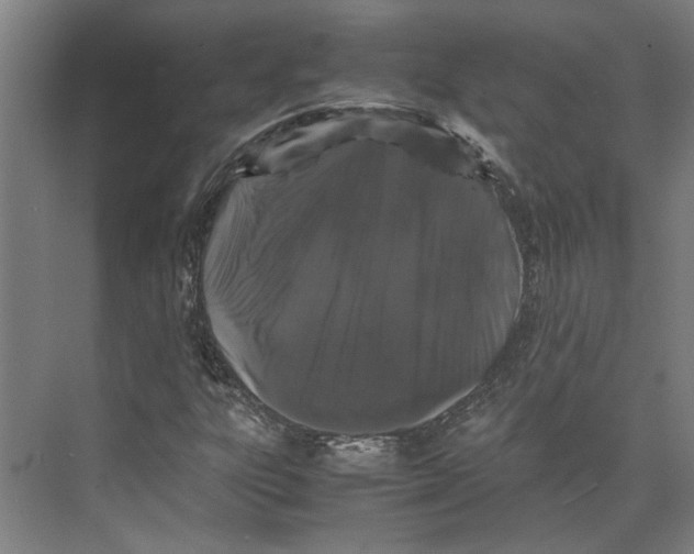 X0000071901303200608041332