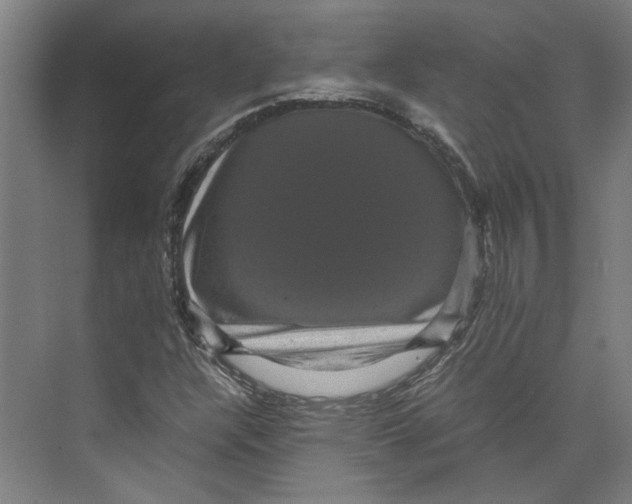 X0000071901304200608041332