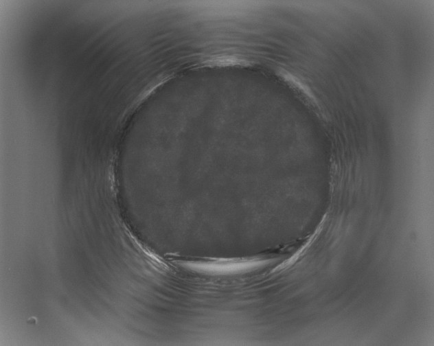 X0000071901305200608041332