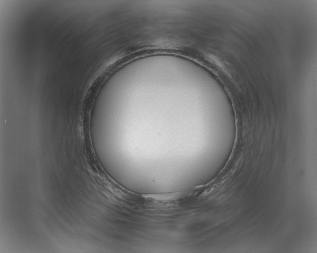 X0000071901307200608041332