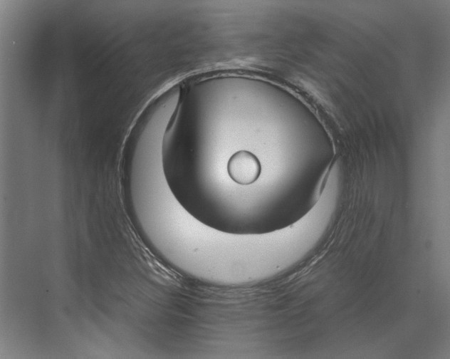 X0000071901308200608041332