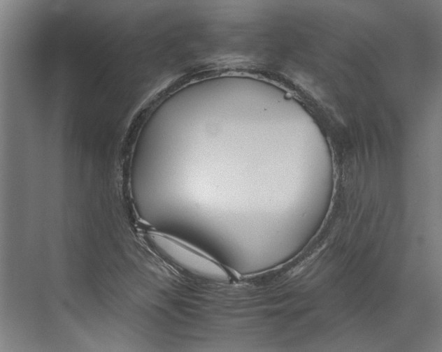 X0000071901309200608041332