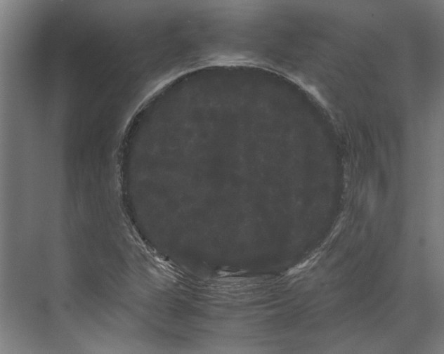 X0000071901311200608041332