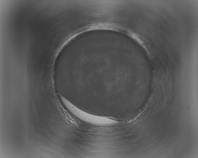 X0000071901312200608041332