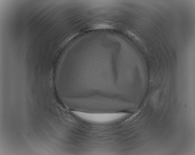 X0000071901313200608041332