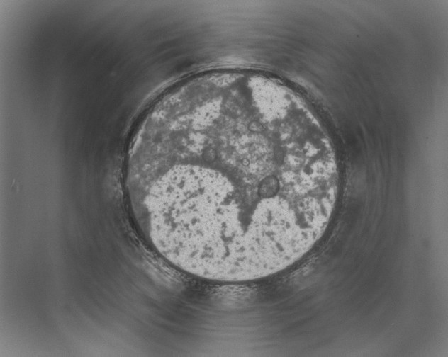 X0000071901314200608041332