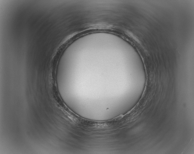 X0000071901315200608041332