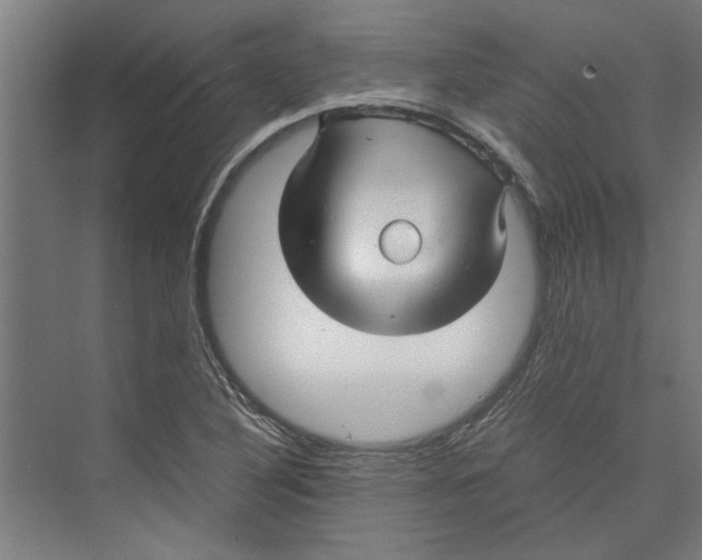 X0000071901316200608041332