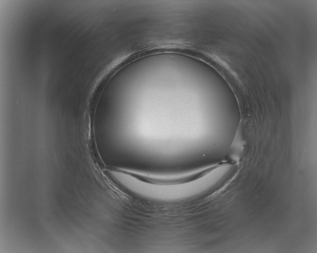 X0000071901317200608041332