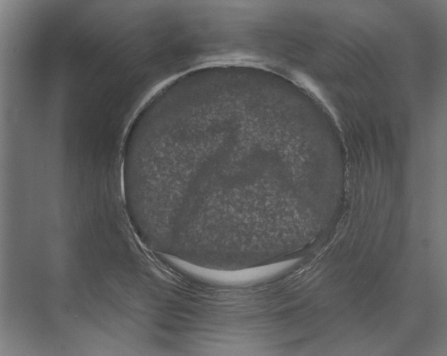 X0000071901320200608041333