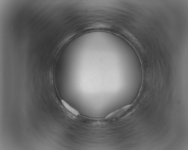 X0000071901321200608041333