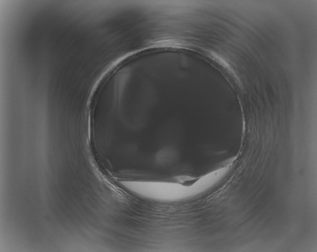 X0000071901323200608041333