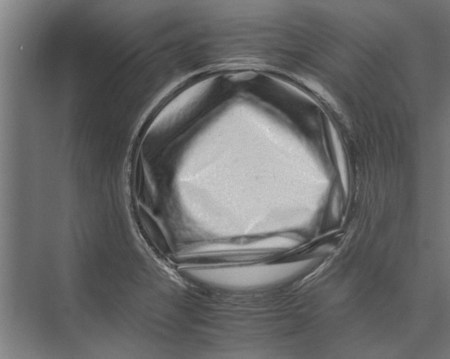 X0000071901325200608041333