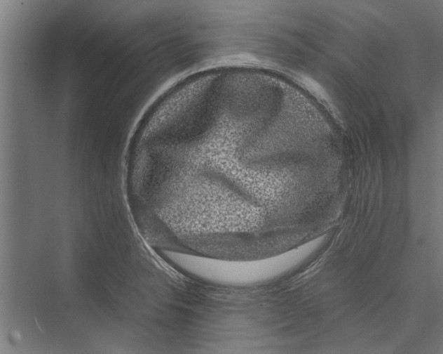 X0000071901326200608041333