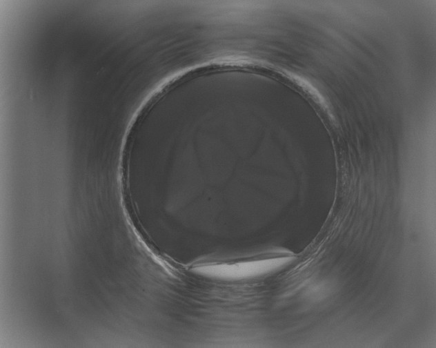 X0000071901327200608041333