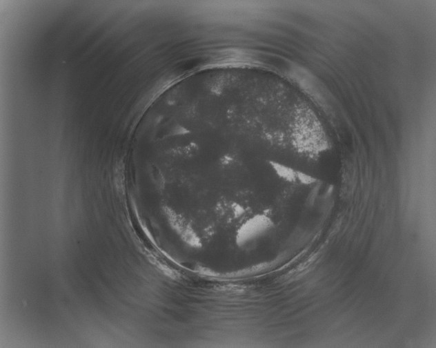 X0000071901329200608041333