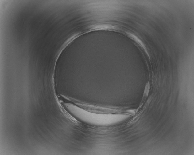 X0000071901330200608041333