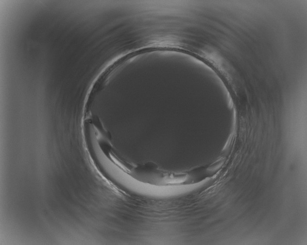 X0000071901331200608041333