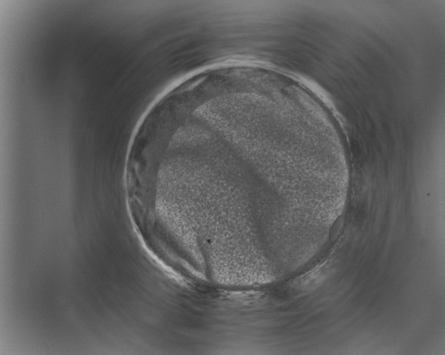 X0000071901335200608041333