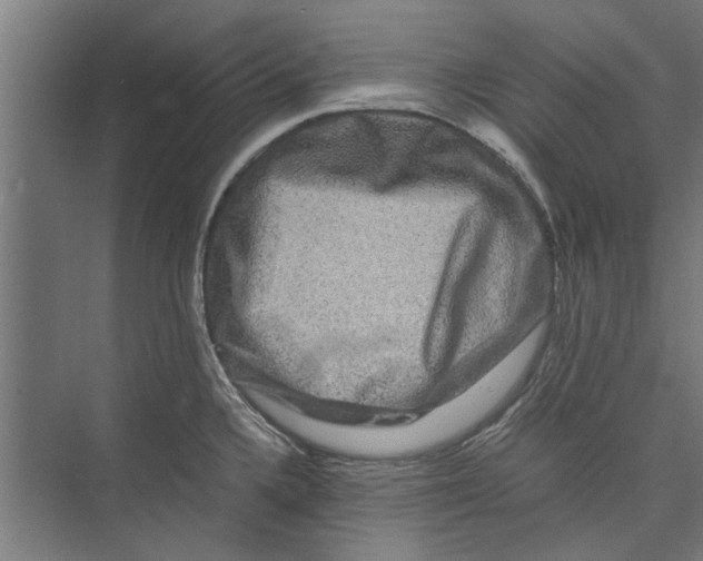 X0000071901336200608041333