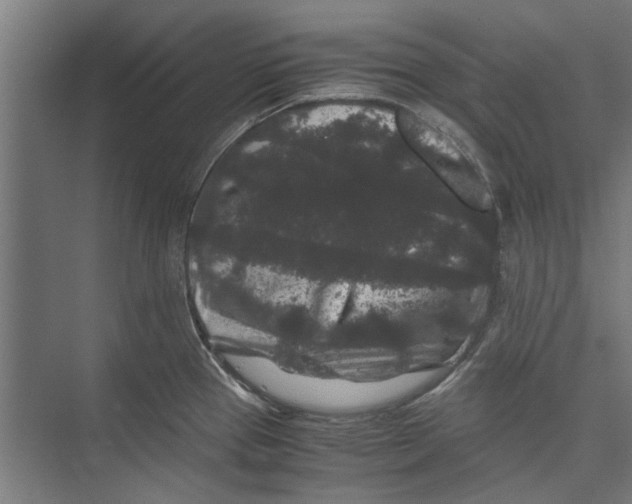 X0000071901337200608041333