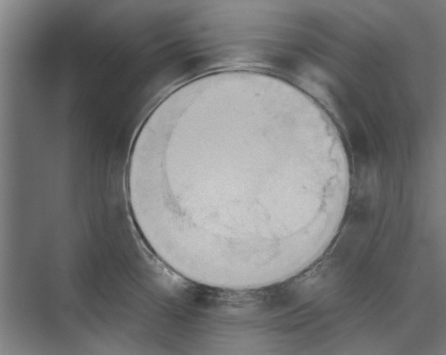 X0000071901338200608041333