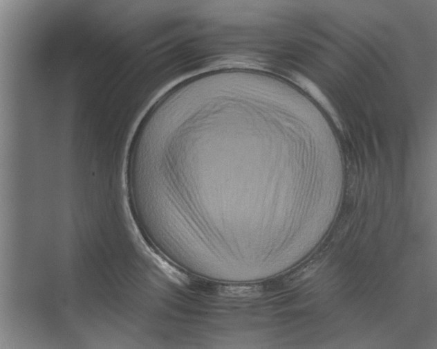 X0000071901339200608041333