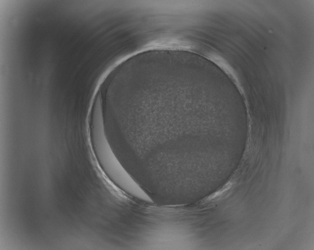 X0000071901344200608041333