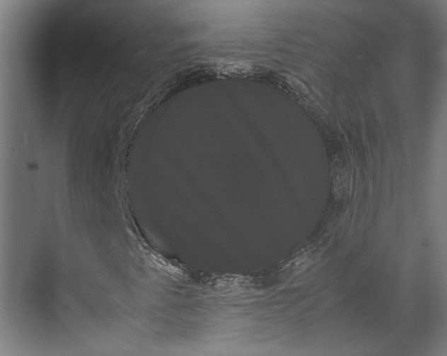 X0000071901345200608041332