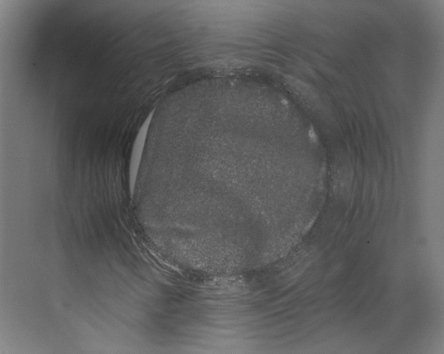 X0000071901346200608041332