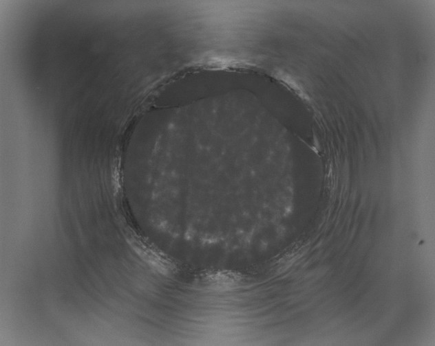 X0000071901348200608041332