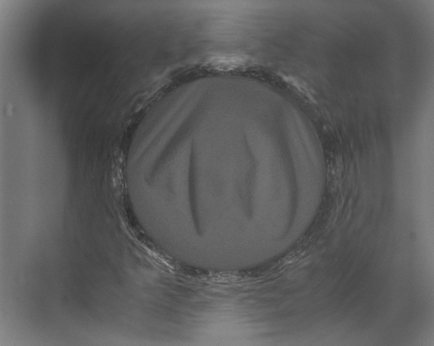 X0000071901349200608041332