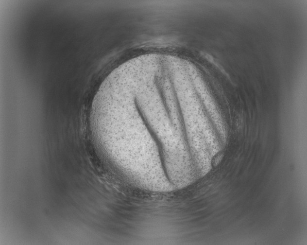 X0000071901350200608041332