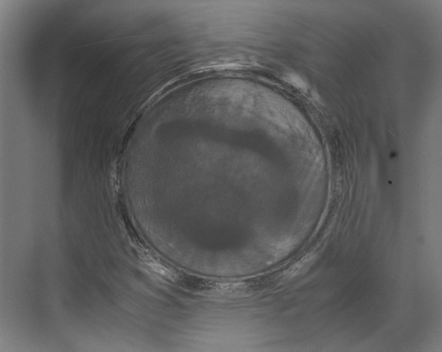 X0000071901353200608041332