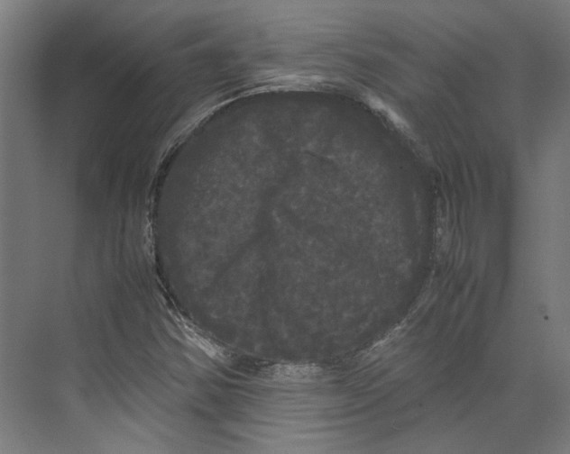 X0000071901354200608041332