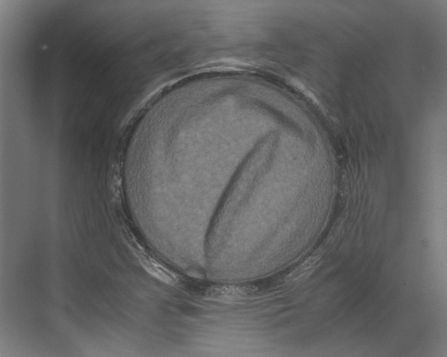 X0000071901355200608041332