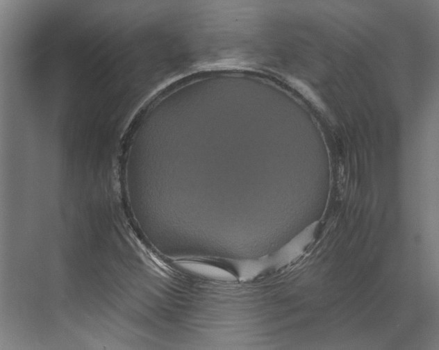 X0000071901356200608041332