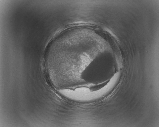 X0000071901357200608041332