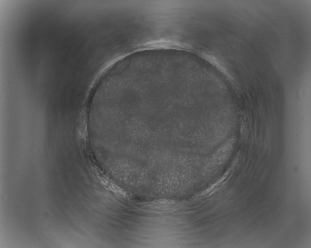 X0000071901358200608041332