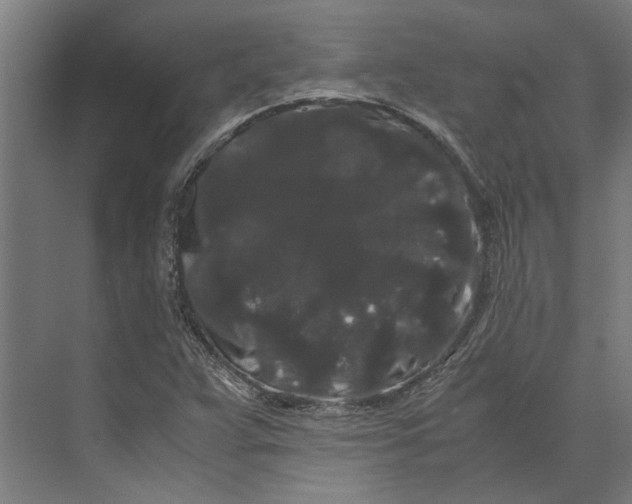 X0000071901359200608041332