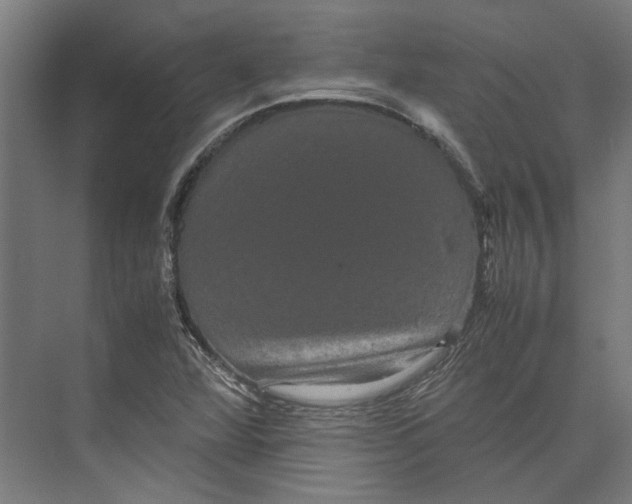 X0000071901360200608041332