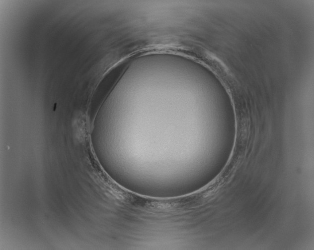 X0000071901361200608041332